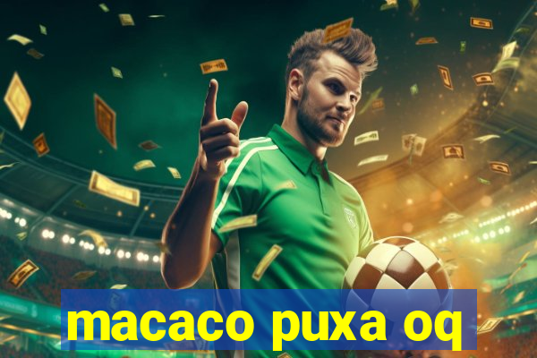 macaco puxa oq